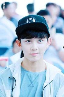 娱乐圈爆料小鲜肉,揭秘小鲜肉背后的秘密与真相  第3张